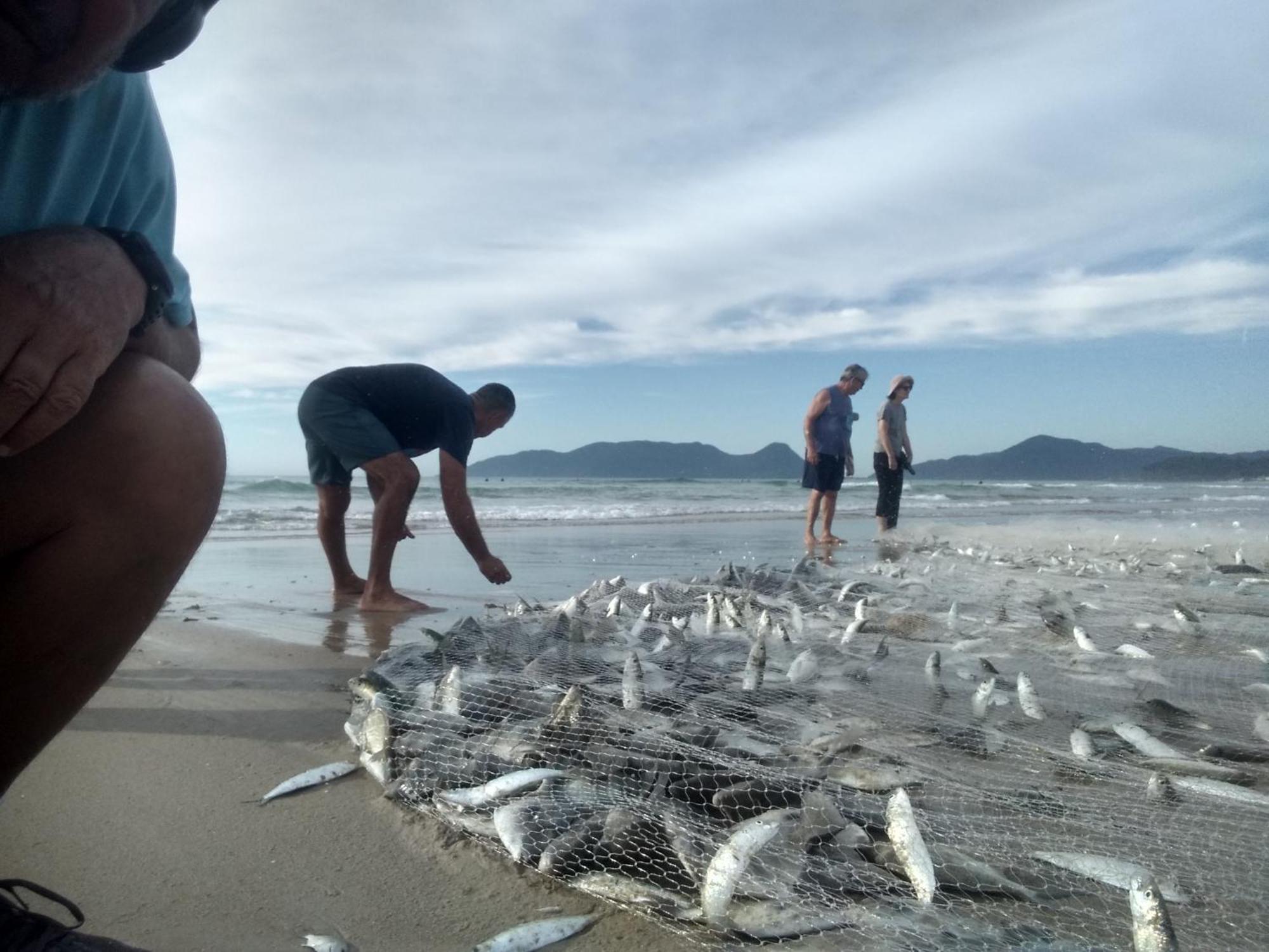 Charmoso E Moderno No Paraiso E Proximo Ao Aeroporto Florianópolis Екстериор снимка